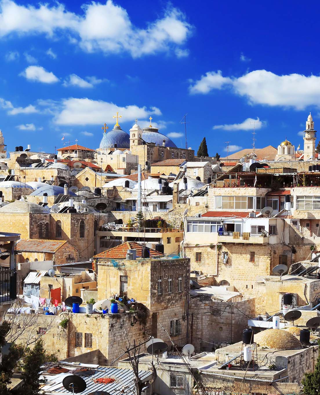 Palestina de relance 