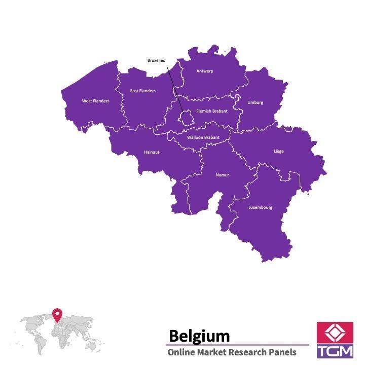 Painel online na Bélgica