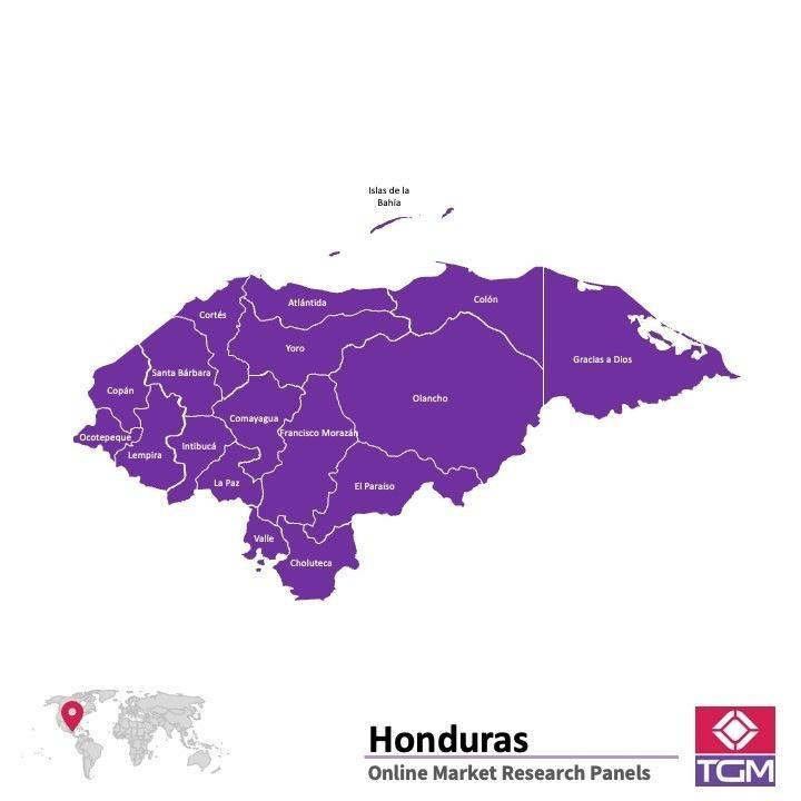 Painel online na Honduras