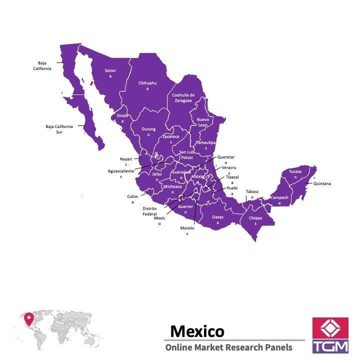 Painel online no México