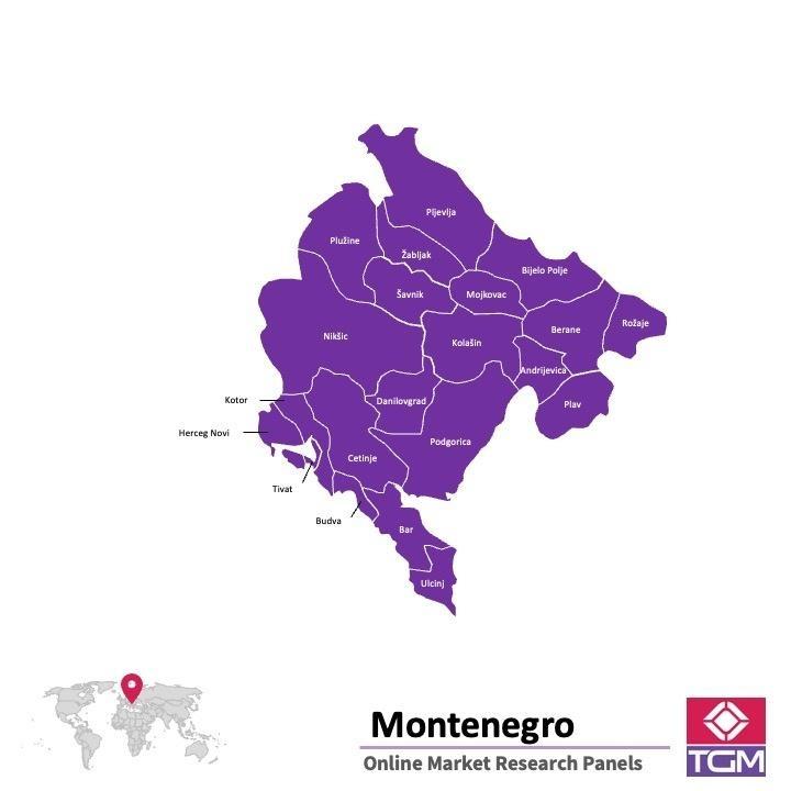 Painel online na Montenegro