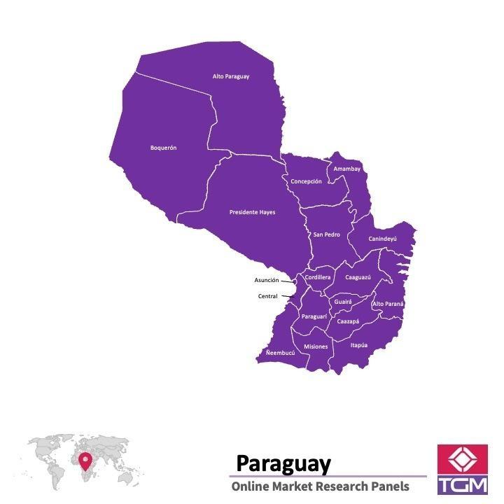 Painel online na Paraguai