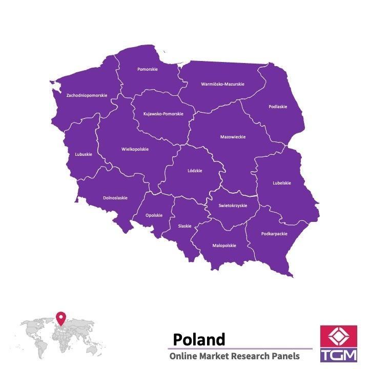 Painel online na Polónia