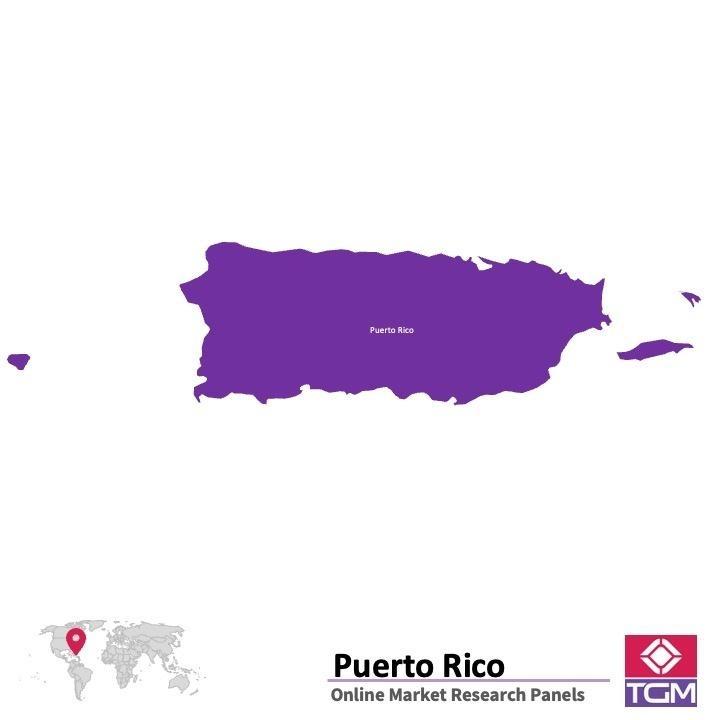 Painel online na Porto Rico