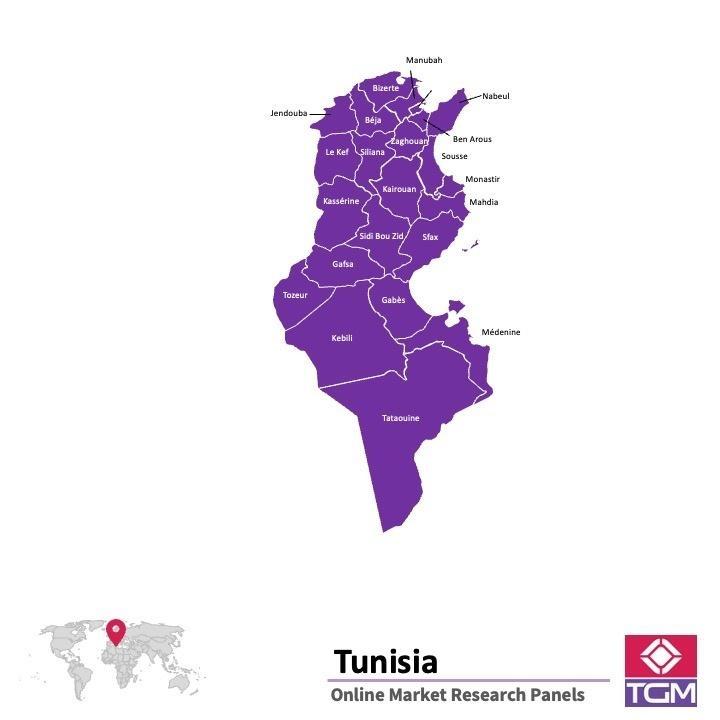 Painel online na Tunísia