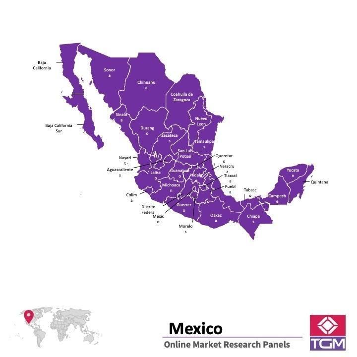 Painel online no México 