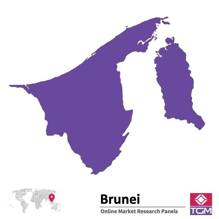 Painel online na Brunei 